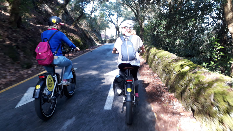 Two friends cycling on ebikes on a forest road in Sintra