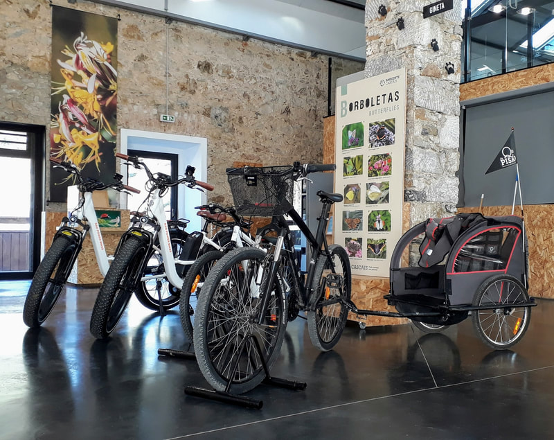 Fat tire ebikes and normal bike with trailer at Quinta do Pisao